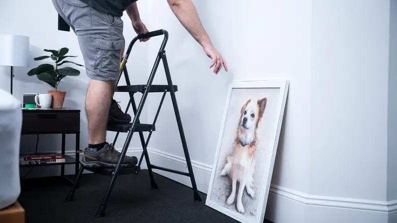 A person climbs a 3-step stool and reaches for a portrait of a dog