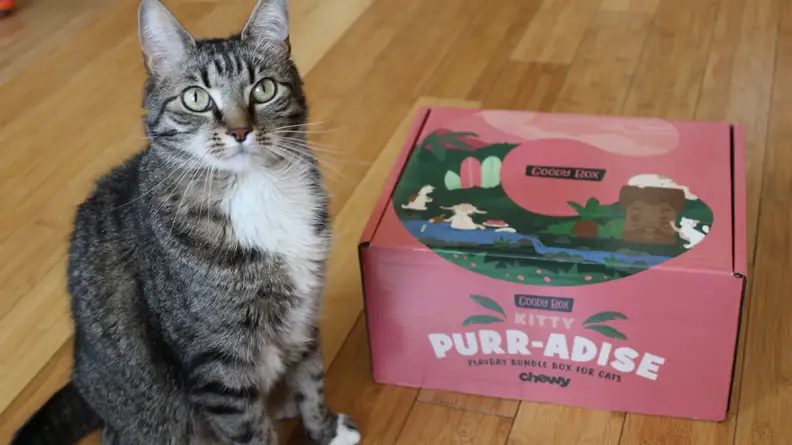 These curated Goody Boxes are available for dogs and cats.