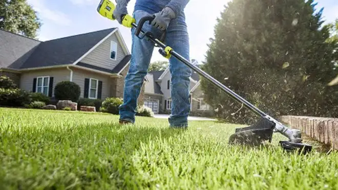 A person clears weeds from their lawn with a weed wacker.