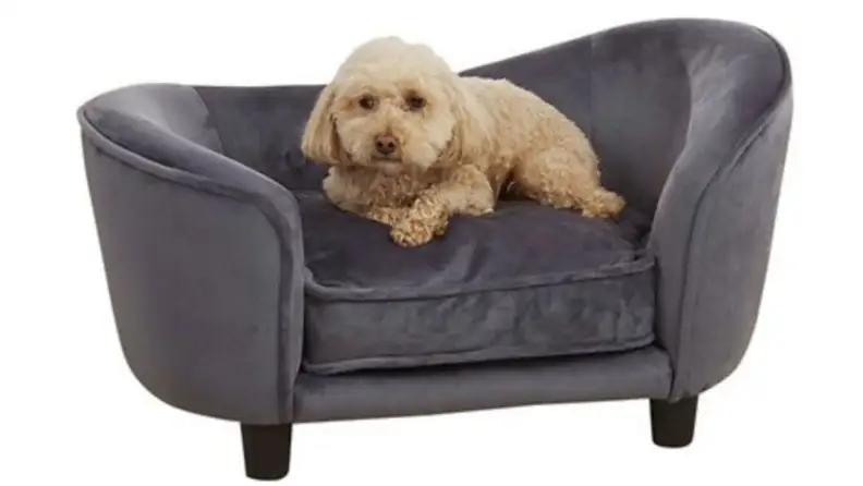 a dog curls up on a mini sofa