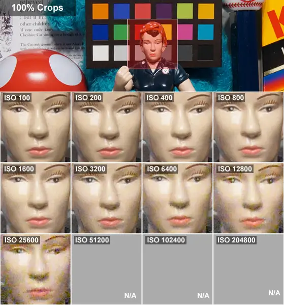 100% crops of Rosie on Nikon D7200.