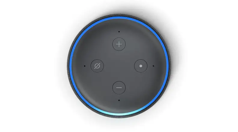 Top view of Echo Dot