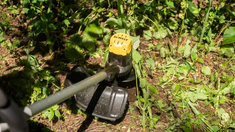 The DeWalt DCST925M1 weed wacker cutting down weeds