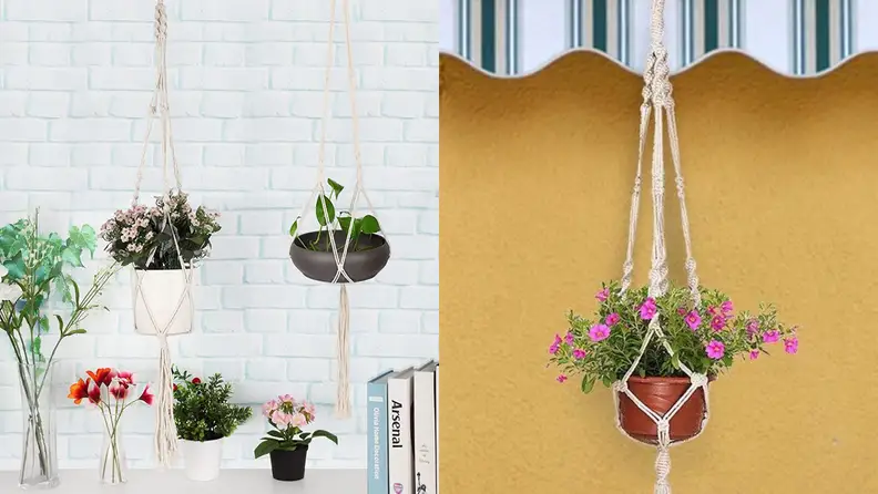 An assortment of plants hang outside on macrame plant hangers.