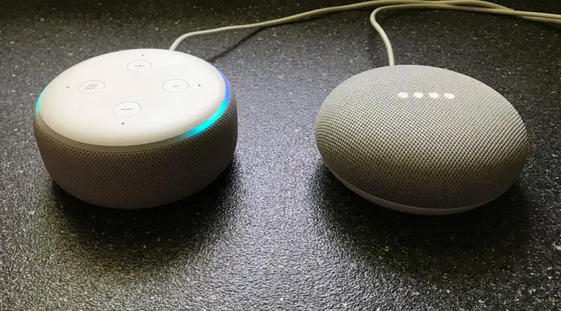 Echo Dot and Home Mini side by side