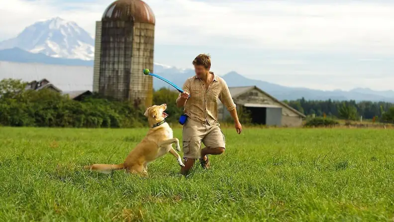 Chuckit! Launchers let you throw balls much farther.