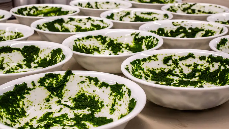 A series of bowls covered in patches of puréed spinach.