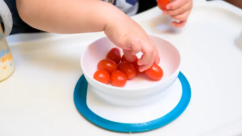 The OXO Tot Stick and Stay suction bowl for kids in white with a blue rim, attached to a table with tomatoes in it. A child's hand is reaching inside for the fruit.