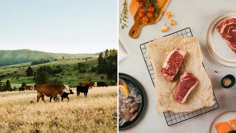 On left, cows grazing in an open area. On right, a counter top with raw meat and fish arranged with scattered produce.