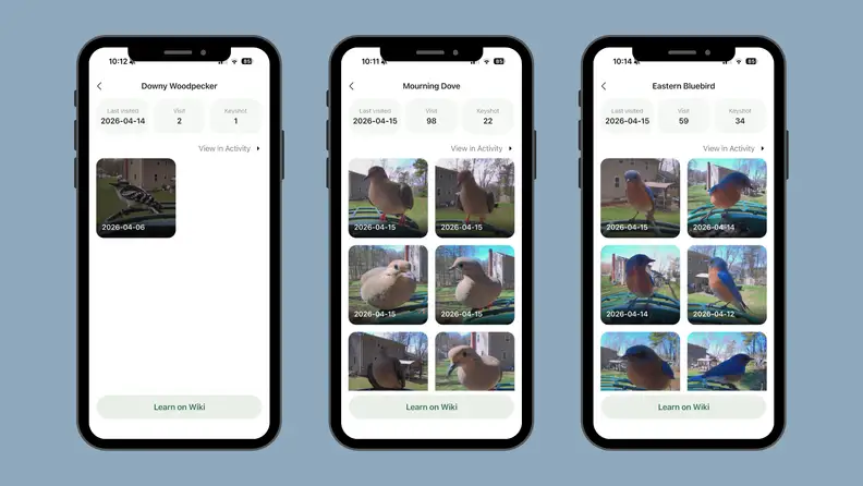Three iPhone screen images showing the various uses of the Kiwibit app against a blue background.