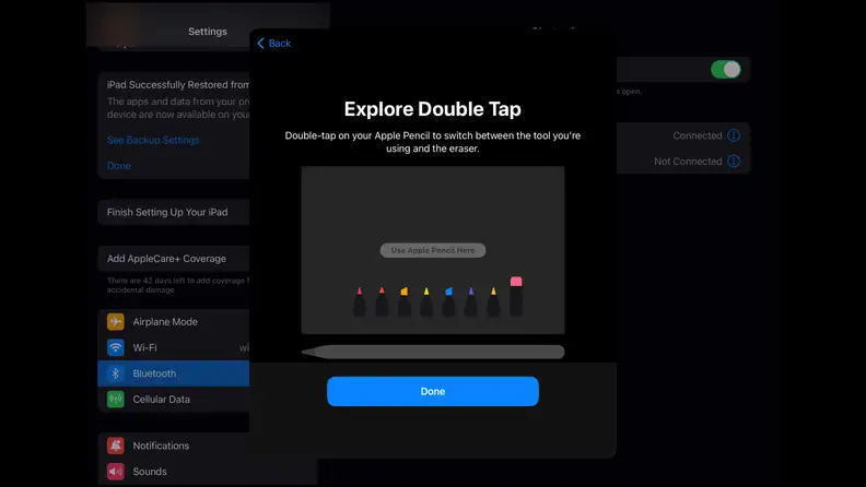 a screenshot of an iPad's Apple Pencil preference pane.