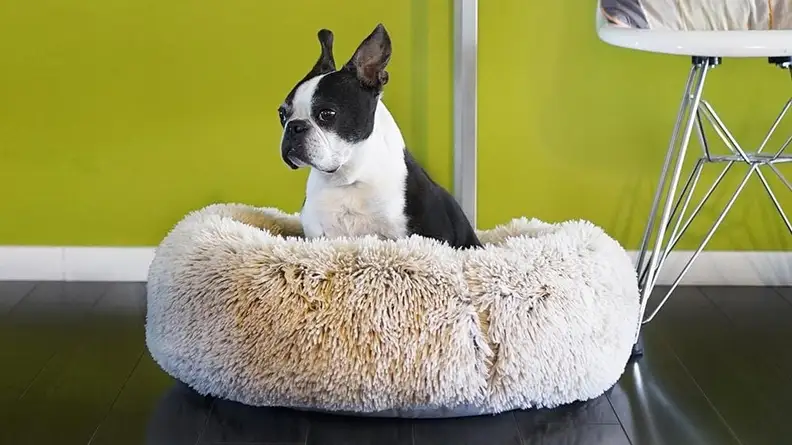 My pets love curling up in this fuzzy bed, and yours will, too!