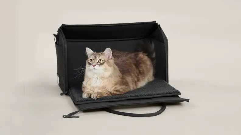 A cat sitting inside the carrier with the side open.
