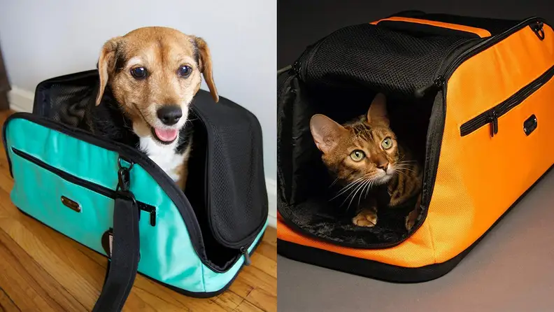 Dog in carrier on left, cat in carrier on right