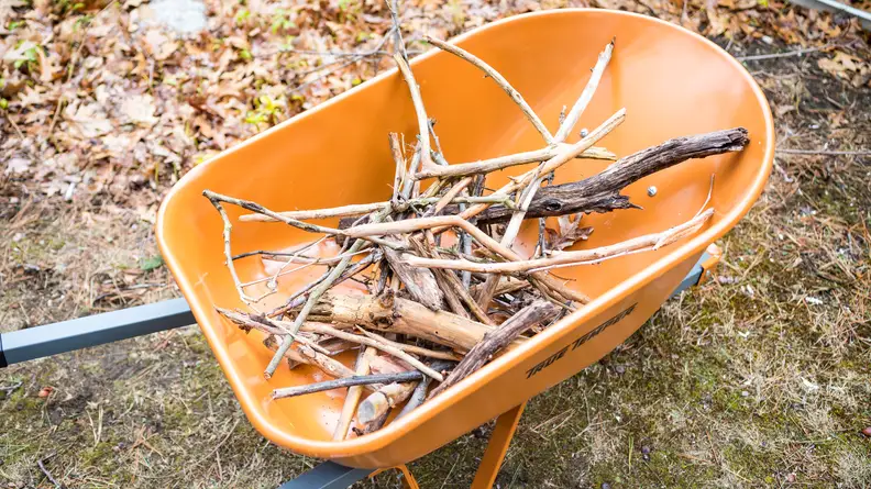 An orange wheelbarrow holds a bundle of branches and sticks.