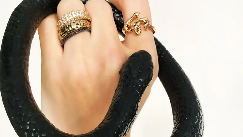 A hand with gold rings on it, wrapped in a black snake