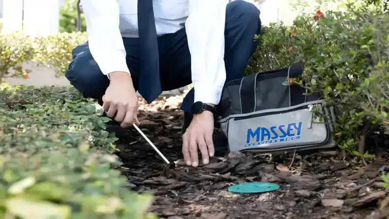 Technician placing a pest control device in mulch near shrubs