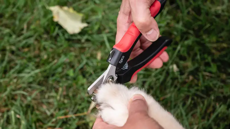 Epica Dog Nail Clippers
