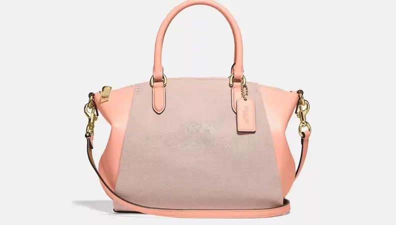 Pink Coach purse against white background.