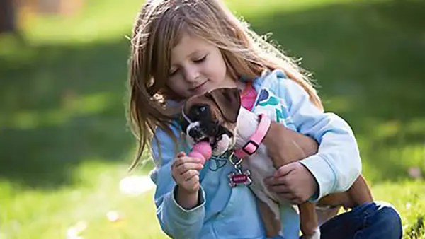 Puppy Kong Dog Toy
