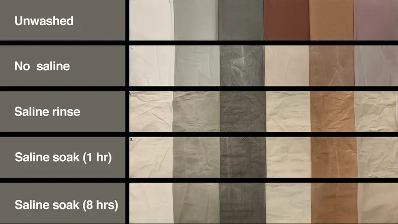 A series of labeled stain strips