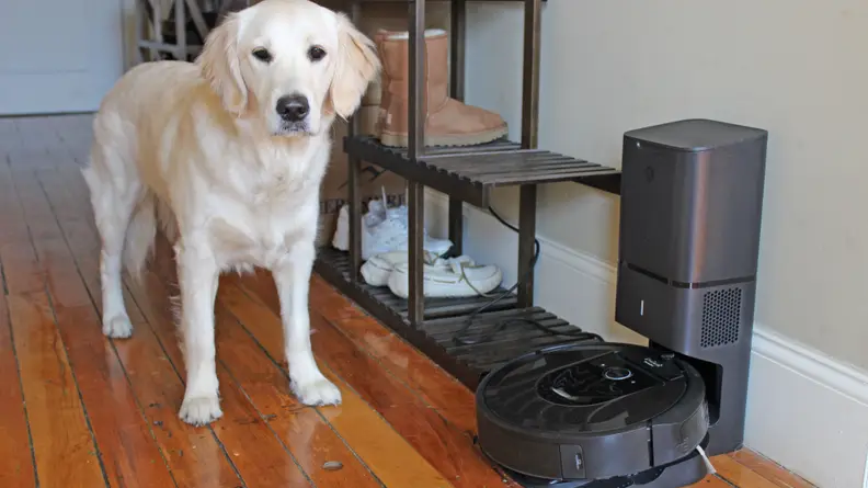 Don't let the sweet face fool you—this one leaves our floors a mess.