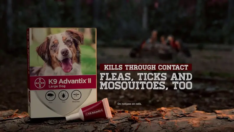 Puppy with K9 Advantix medication