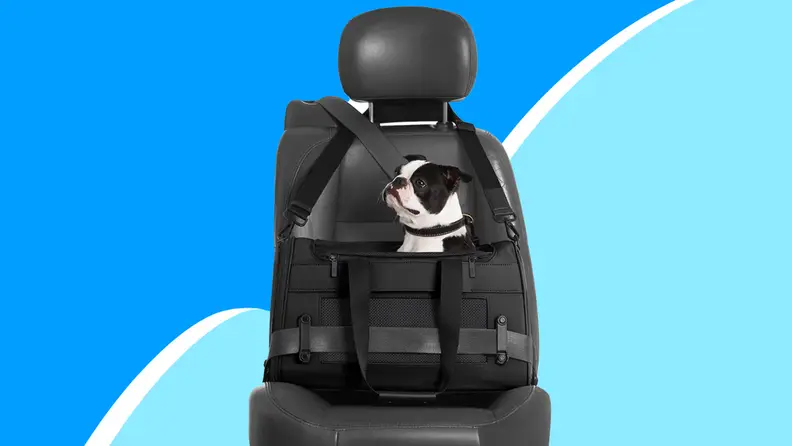 Black and white dog inside of black pet carrier while strapped into leather car seat.