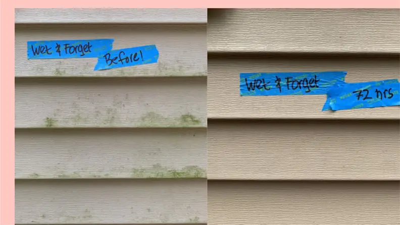 The image shows vinyl siding before and after house washing with Wet & Forget outdoor stain remover.