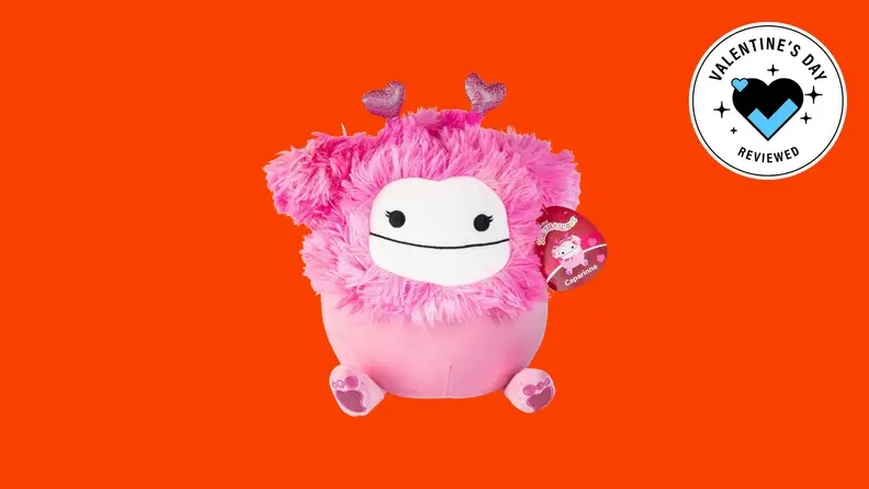 Sager the Dog Valentine's Day Squishmallow