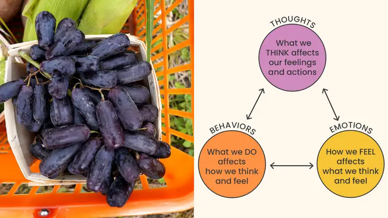 Fresh berries and a flowchart.