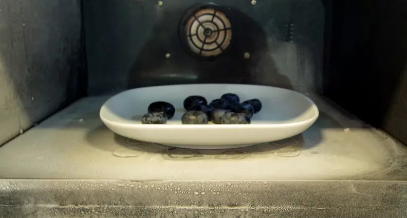 Frigondas Microwave Freezer blueberries — frozen and fresh