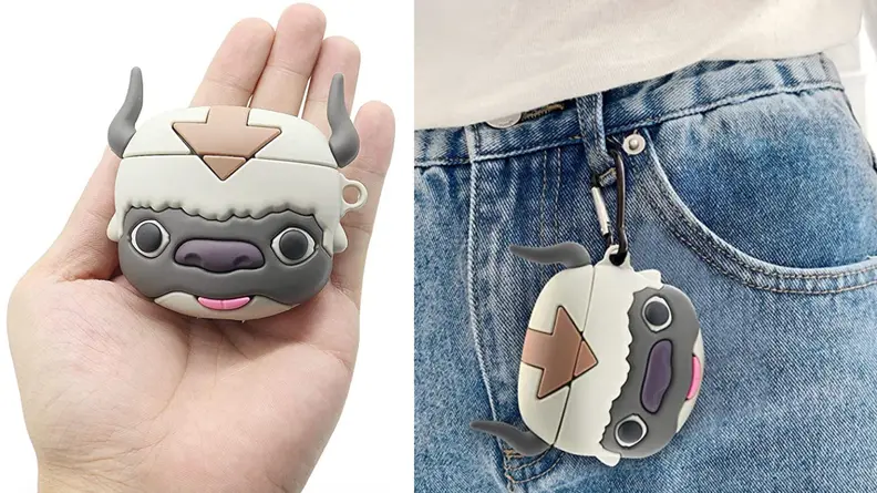 Appa case.