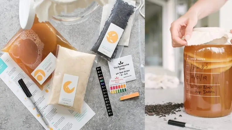 Left: A Kombucha Shop Brewing Kit laid out on a counter. Right: Close-up of a woman covering a large jar containing kombucha.