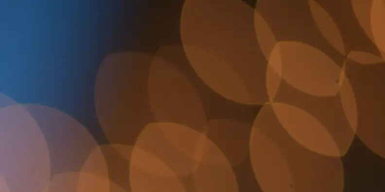 A crop of a sample image displaying bokeh shot by the Nikon 50mm f/1.4G.