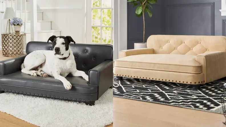 Consuelo Dog Sofa