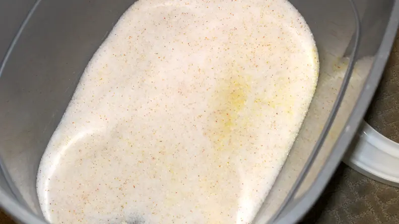 Nugget's urine consistently turned the litter yellow throughout testing.