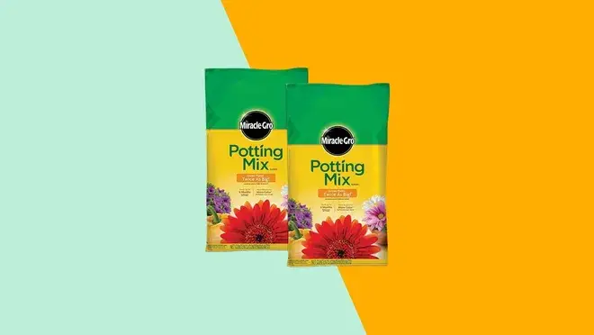The Miracle-Gro potting mix in front of an artistic background.