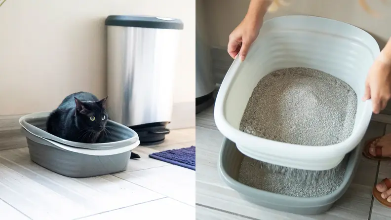 Left: A black cat sits in an Arm & Hammer litter box next to a stainless steel trash can; Right: A pet owner lifts a top tray as cat litter sifts to the base