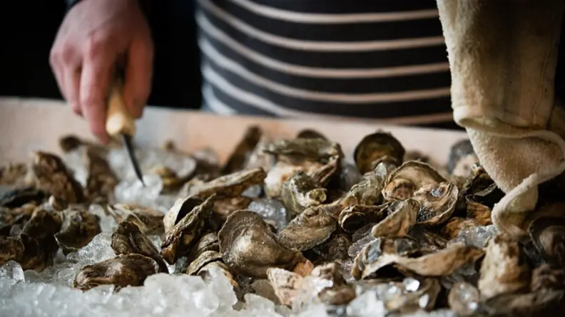 How to care for your oysters
