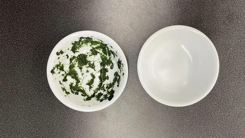 A dirty bowl with green food in side the bowl and a clean bowl to it.