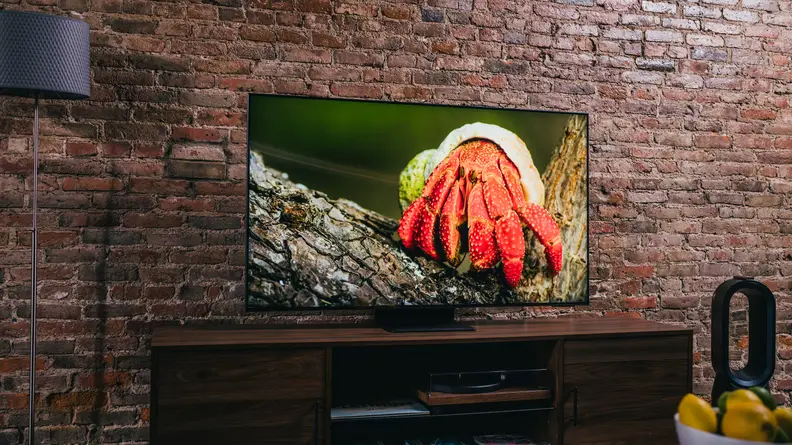 A bright red crab sits on a log on the TV's screen
