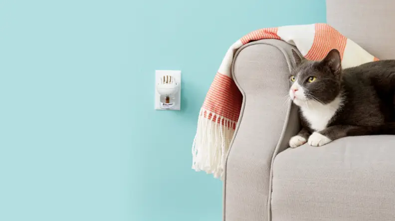 A cat sits on an armchair near a diffuser plugged into the wall