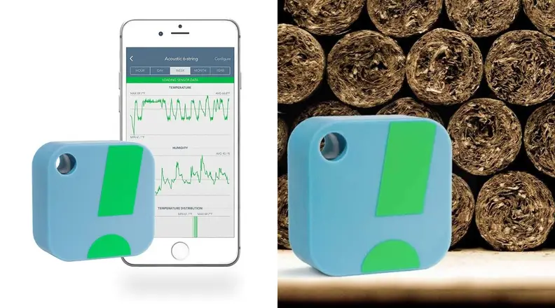 This small sensor transmits information about the temperature and humidity levels in your garden.