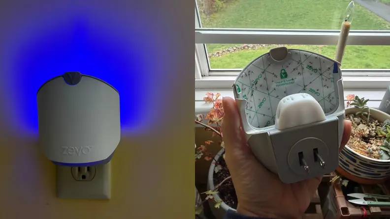 A side by side shot of the front and the back of the insect trap