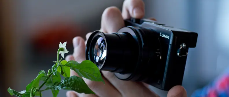 A photograph of the Panasonic Lumix LX100 used in macro mode.