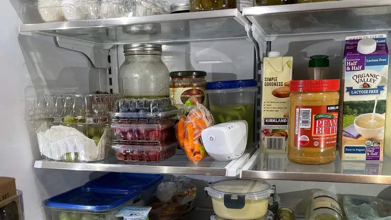 The inside of a refrigerator filled with produce, dairy, and a six-inch Lasko fridge ionizer.