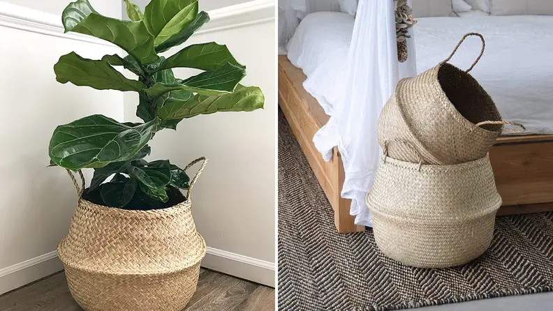 A woven basket houses a houseplant.