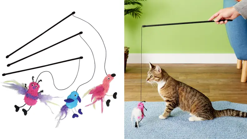 Three wand toys and a cat playing with one