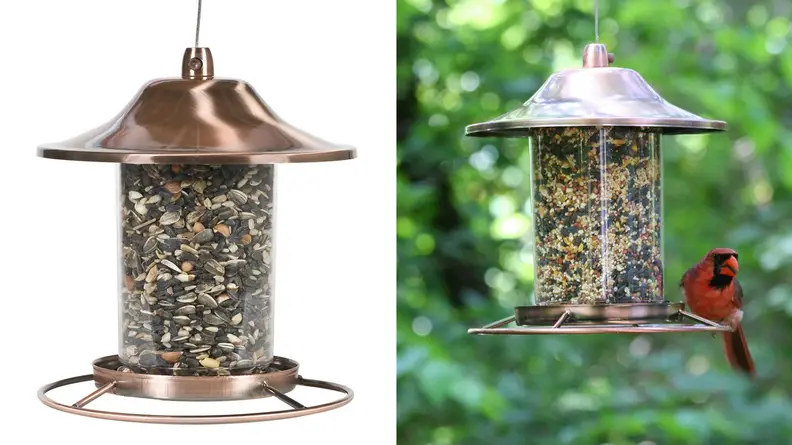 Bird Feeder